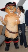 imagebam.com