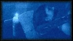 imagebam.com