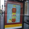imagebam.com