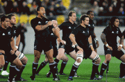 8fd12e49347341.gif