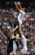 9ac55157019916.gif