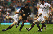 db469357019904.gif
