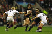 e674d657019951.gif