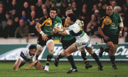 1f507859641004.gif