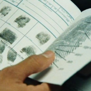 Венди и Люси / Wendy and Lucy (2008) DVDRip